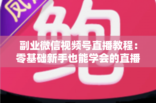 副业微信视频号直播教程:零基础新手也能学会的直播变现实战指南 副业微信视频号直播教程:零基础新手也能学会的直播变现实战指南