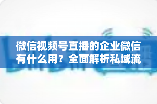 微信视频号直播的企业微信有什么用?全面解析私域流量承接与转化的实战价值 微信视频号直播的企业微信有什么用?全面解析私域流量承接与转化的实战价值