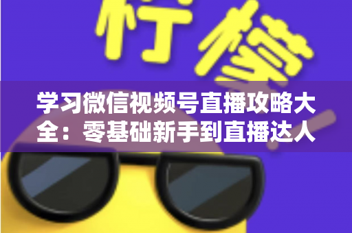 学习微信视频号直播攻略大全:零基础新手到直播达人的完整实战指南 学习微信视频号直播攻略大全:零基础新手到直播达人的完整实战指南