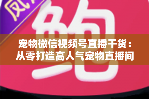 宠物微信视频号直播干货:从零打造高人气宠物直播间的实战指南 宠物微信视频号直播干货:从零打造高人气宠物直播间的实战指南