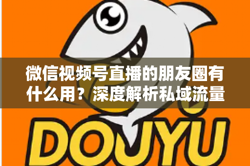 微信视频号直播的朋友圈有什么用?深度解析私域流量裂变的黄金入口 微信视频号直播的朋友圈有什么用?深度解析私域流量裂变的黄金入口