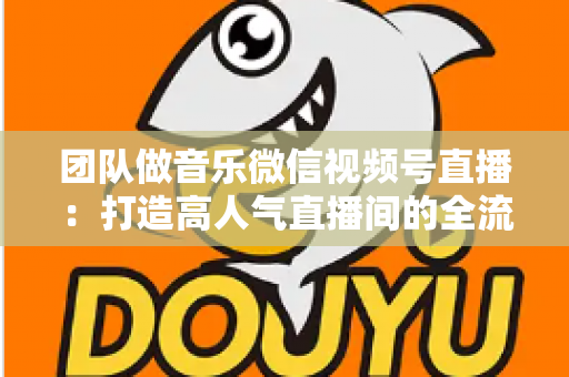 团队做音乐微信视频号直播:打造高人气直播间的全流程实战指南 团队做音乐微信视频号直播:打造高人气直播间的全流程实战指南