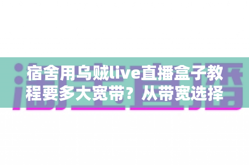 宿舍用乌贼live直播盒子教程要多大宽带？从带宽选择到安装设置的一站式实用指南