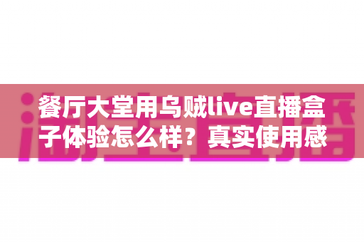 餐厅大堂用乌贼live直播盒子体验怎么样？真实使用感受与选购建议全解析