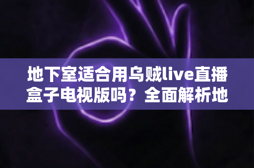 地下室适合用乌贼live直播盒子电视版吗？全面解析地下室使用体验与实用优化指南