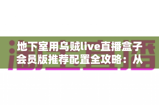 地下室用乌贼live直播盒子会员版推荐配置全攻略：从网络到硬件，打造稳定流畅的地下直播空间