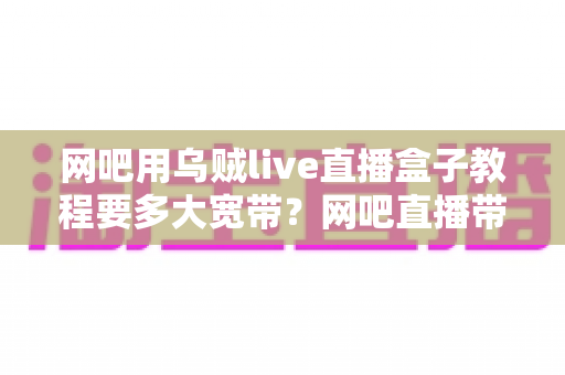 网吧用乌贼live直播盒子教程要多大宽带?网吧直播带宽需求与安装配置全解析 网吧用乌贼live直播盒子教程要多大宽带?网吧直播带宽需求与安装配置全解析