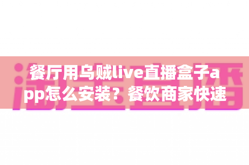 餐厅用乌贼live直播盒子app怎么安装？餐饮商家快速上手直播引流的完整安装指南