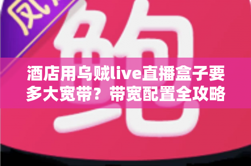 酒店用乌贼live直播盒子要多大宽带？带宽配置全攻略与优化指南