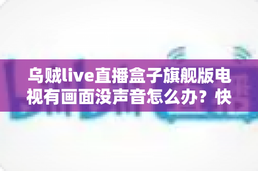 乌贼live直播盒子旗舰版电视有画面没声音怎么办？快速排查与修复全攻略