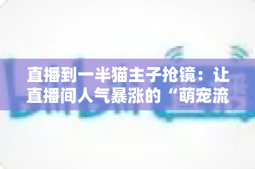 直播到一半猫主子抢镜：让直播间人气暴涨的“萌宠流量密码”与应对全攻略