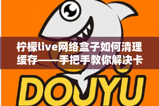 柠檬live网络盒子如何清理缓存——手把手教你解决卡顿,让观影体验焕然一新 柠檬live网络盒子如何清理缓存——手把手教你解决卡顿,让观影体验焕然一新