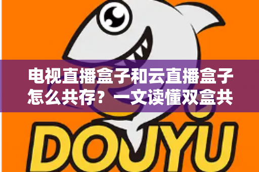 电视直播盒子和云直播盒子怎么共存？一文读懂双盒共用的设置方法、优势互补与避坑指南