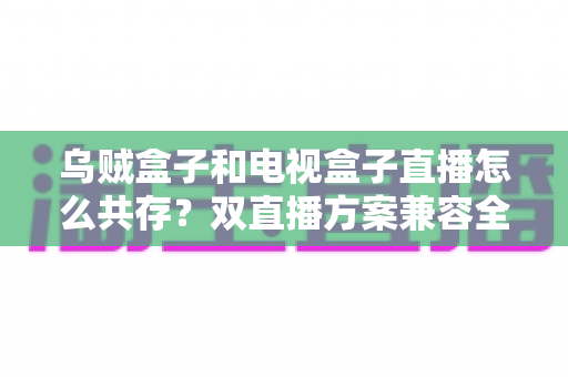 乌贼盒子和电视盒子直播怎么共存?双直播方案兼容全攻略与实用设置指南 乌贼盒子和电视盒子直播怎么共存?双直播方案兼容全攻略与实用设置指南