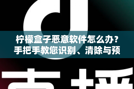 柠檬盒子恶意软件怎么办？手把手教您识别、清除与预防，全面守护设备与隐私安全