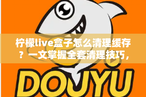 柠檬live盒子怎么清理缓存?一文掌握全套清理技巧,让盒子流畅如新 柠檬live盒子怎么清理缓存?一文掌握全套清理技巧,让盒子流畅如新