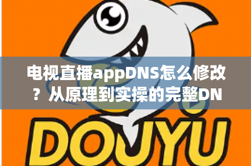 电视直播appDNS怎么修改？从原理到实操的完整DNS设置指南，助你畅享流畅直播体验