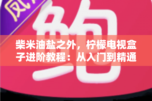 柴米油盐之外，柠檬电视盒子进阶教程：从入门到精通的全能优化指南，让你的电视盒子焕发新生