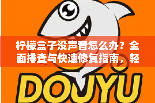 柠檬盒子没声音怎么办？全面排查与快速修复指南，轻松找回清晰音效