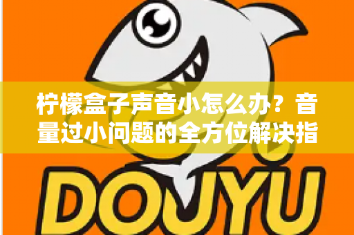 柠檬盒子声音小怎么办？音量过小问题的全方位解决指南