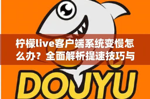 柠檬live客户端系统变慢怎么办？全面解析提速技巧与优化方案，让您的直播体验焕然一新