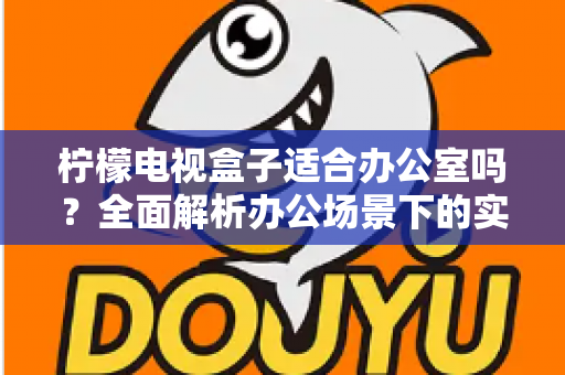 柠檬电视盒子适合办公室吗？全面解析办公场景下的实用性、优势与选购指南