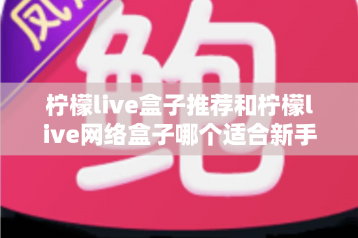 柠檬live盒子推荐和柠檬live网络盒子哪个适合新手？2025年新手选购与使用全指南