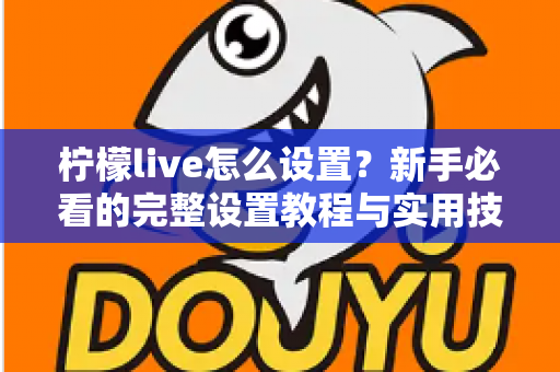 柠檬live怎么设置？新手必看的完整设置教程与实用技巧指南
