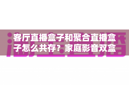 客厅直播盒子和聚合直播盒子怎么共存?家庭影音双盒子搭配全攻略 客厅直播盒子和聚合直播盒子怎么共存?家庭影音双盒子搭配全攻略