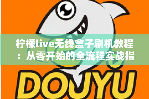 柠檬live无线盒子刷机教程：从零开始的全流程实战指南（附避坑技巧与FAQ详解）