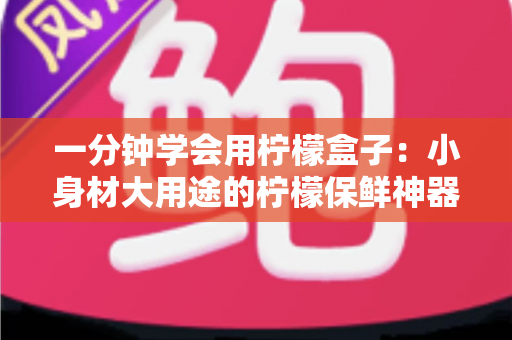 一分钟学会用柠檬盒子:小身材大用途的柠檬保鲜神器完全指南 一分钟学会用柠檬盒子:小身材大用途的柠檬保鲜神器完全指南