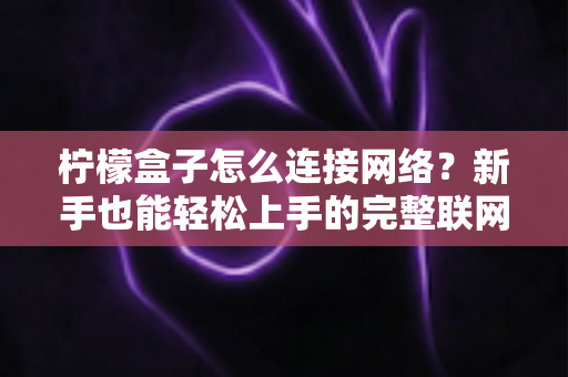 柠檬盒子怎么连接网络?新手也能轻松上手的完整联网攻略与故障排除指南 柠檬盒子怎么连接网络?新手也能轻松上手的完整联网攻略与故障排除指南