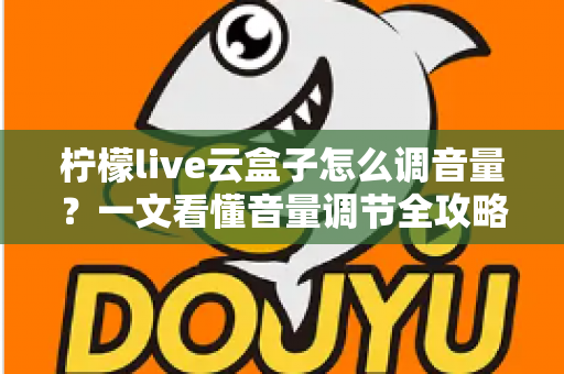 柠檬live云盒子怎么调音量？一文看懂音量调节全攻略与疑难排解