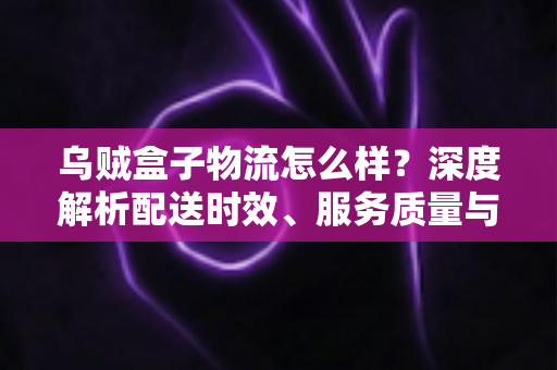 乌贼盒子物流怎么样？深度解析配送时效、服务质量与真实用户体验