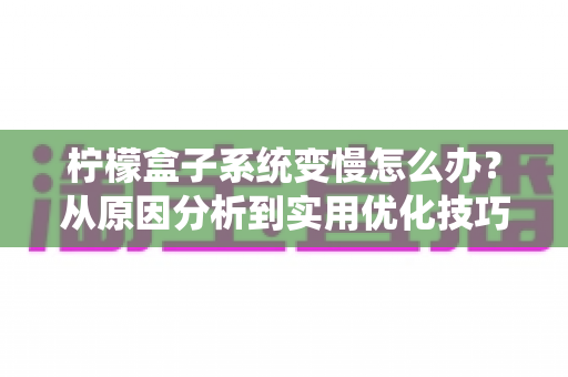 柠檬盒子系统变慢怎么办？从原因分析到实用优化技巧的完整指南