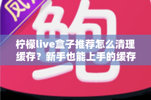 柠檬live盒子推荐怎么清理缓存?新手也能上手的缓存清理全攻略 柠檬live盒子推荐怎么清理缓存?新手也能上手的缓存清理全攻略