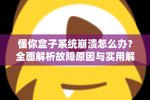 懂你盒子系统崩溃怎么办?全面解析故障原因与实用解决方案指南 懂你盒子系统崩溃怎么办?全面解析故障原因与实用解决方案指南