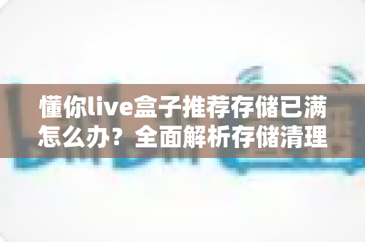 懂你live盒子推荐存储已满怎么办？全面解析存储清理与优化实用指南