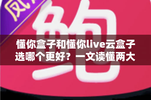懂你盒子和懂你live云盒子选哪个更好?一文读懂两大盒子的区别与选购指南 懂你盒子和懂你live云盒子选哪个更好?一文读懂两大盒子的区别与选购指南