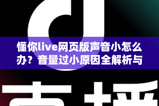 懂你live网页版声音小怎么办?音量过小原因全解析与实用解决指南 懂你live网页版声音小怎么办?音量过小原因全解析与实用解决指南