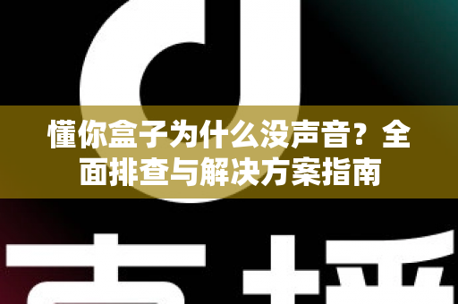 懂你盒子为什么没声音？全面排查与解决方案指南
