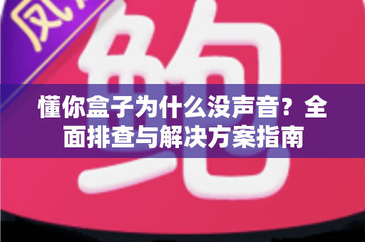 懂你盒子为什么没声音？全面排查与解决方案指南