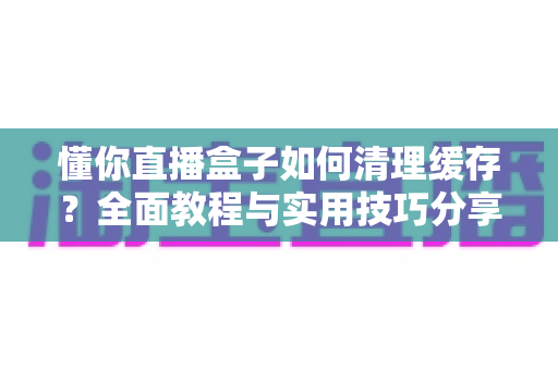 懂你直播盒子如何清理缓存？全面教程与实用技巧分享，让您的观影体验流畅如新