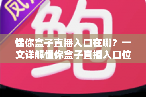 懂你盒子直播入口在哪？一文详解懂你盒子直播入口位置与使用全攻略