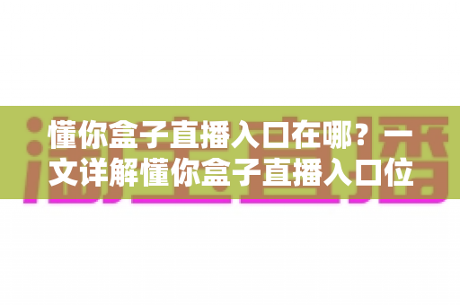 懂你盒子直播入口在哪？一文详解懂你盒子直播入口位置与使用全攻略