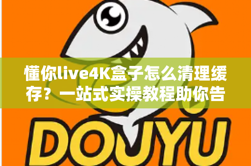 懂你live4K盒子怎么清理缓存？一站式实操教程助你告别卡顿，让盒子流畅如新