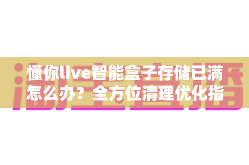 懂你live智能盒子存储已满怎么办？全方位清理优化指南，轻松释放空间恢复流畅体验