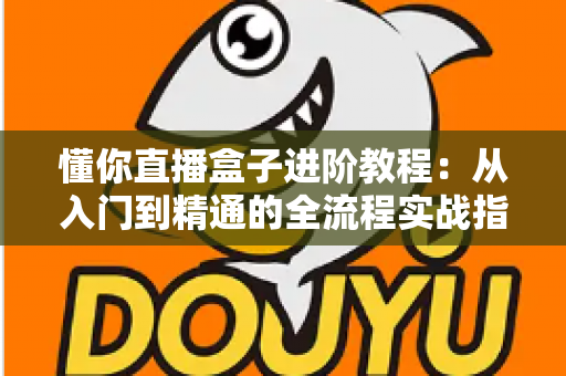 懂你直播盒子进阶教程：从入门到精通的全流程实战指南