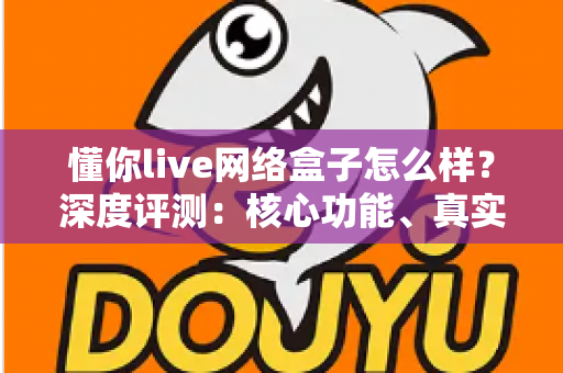 懂你live网络盒子怎么样?深度评测:核心功能、真实体验与购买建议全解析 懂你live网络盒子怎么样?深度评测:核心功能、真实体验与购买建议全解析