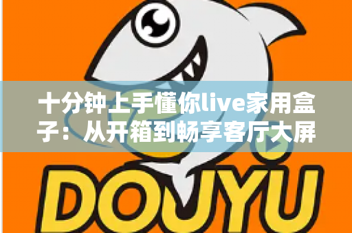 十分钟上手懂你live家用盒子:从开箱到畅享客厅大屏娱乐的完整新手指南 十分钟上手懂你live家用盒子:从开箱到畅享客厅大屏娱乐的完整新手指南